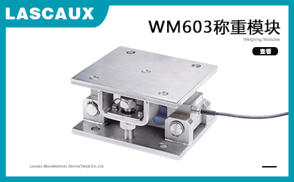 WM603稱重模塊