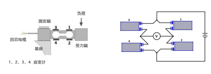 單點(diǎn)式稱重傳感器工作原理
