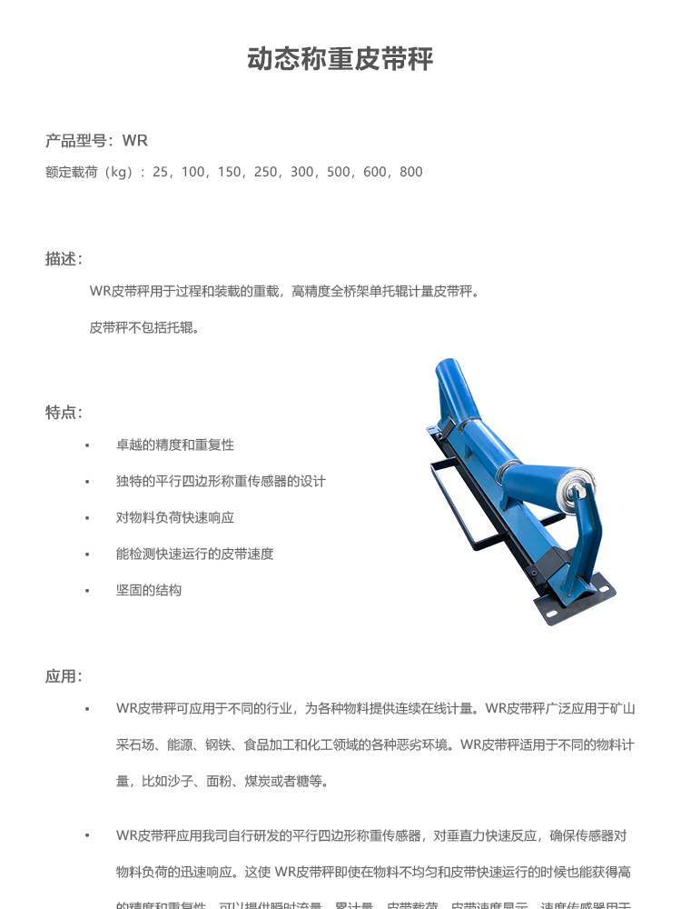 高速動態(tài)皮帶秤